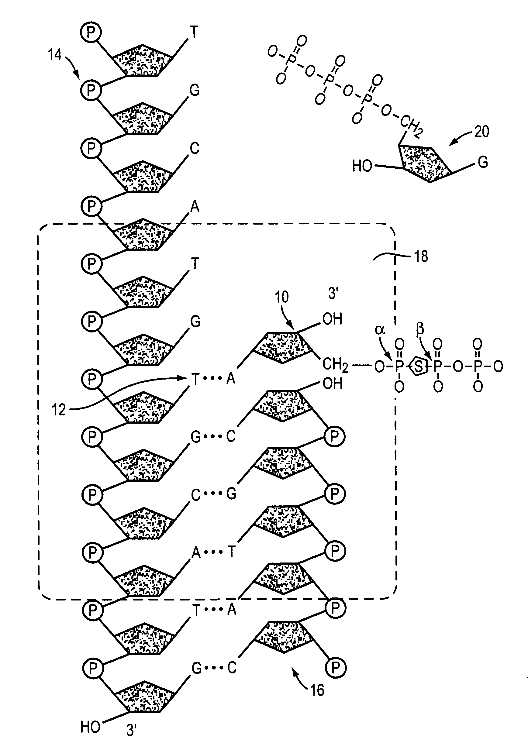 Methods and compositions for improving fidelity in a nucleic acid synthesis reaction
