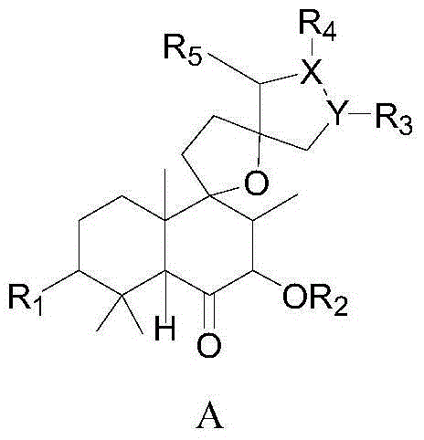 Diterpene compound, and preparation method and application thereof