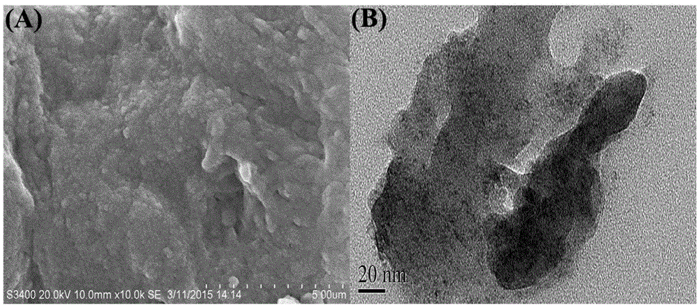 Chitosan-based composite adsorbent capable of synergistically and efficiently removing positive and negative ions of heavy metals and preparation method thereof