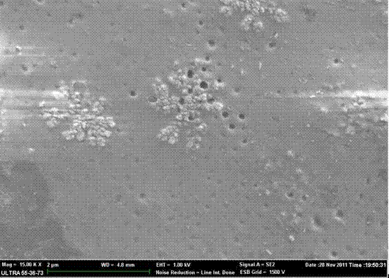 Method for preparing water-proof and moisture permeable coated fabrics