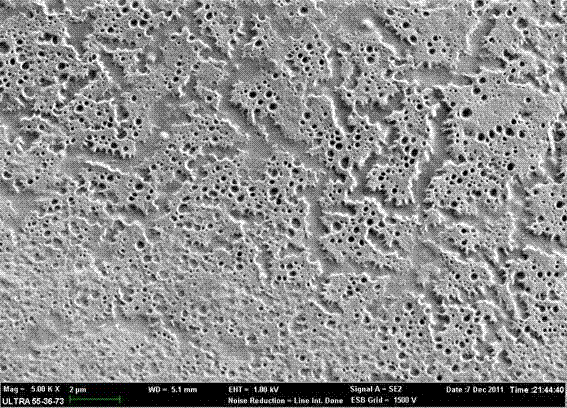 Method for preparing water-proof and moisture permeable coated fabrics