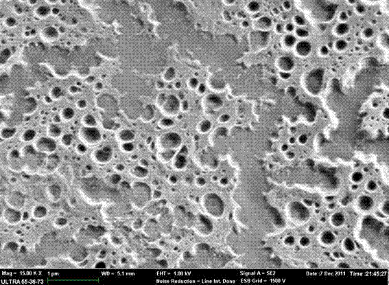 Method for preparing water-proof and moisture permeable coated fabrics