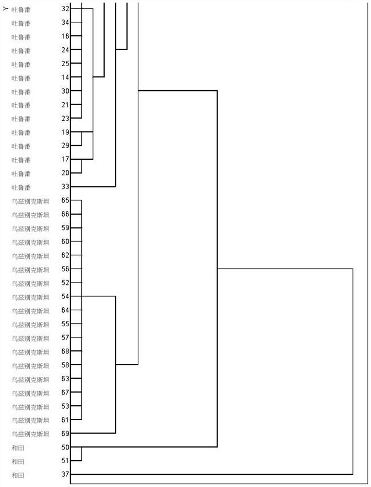 A traceability system for the origin of Turpan raisins