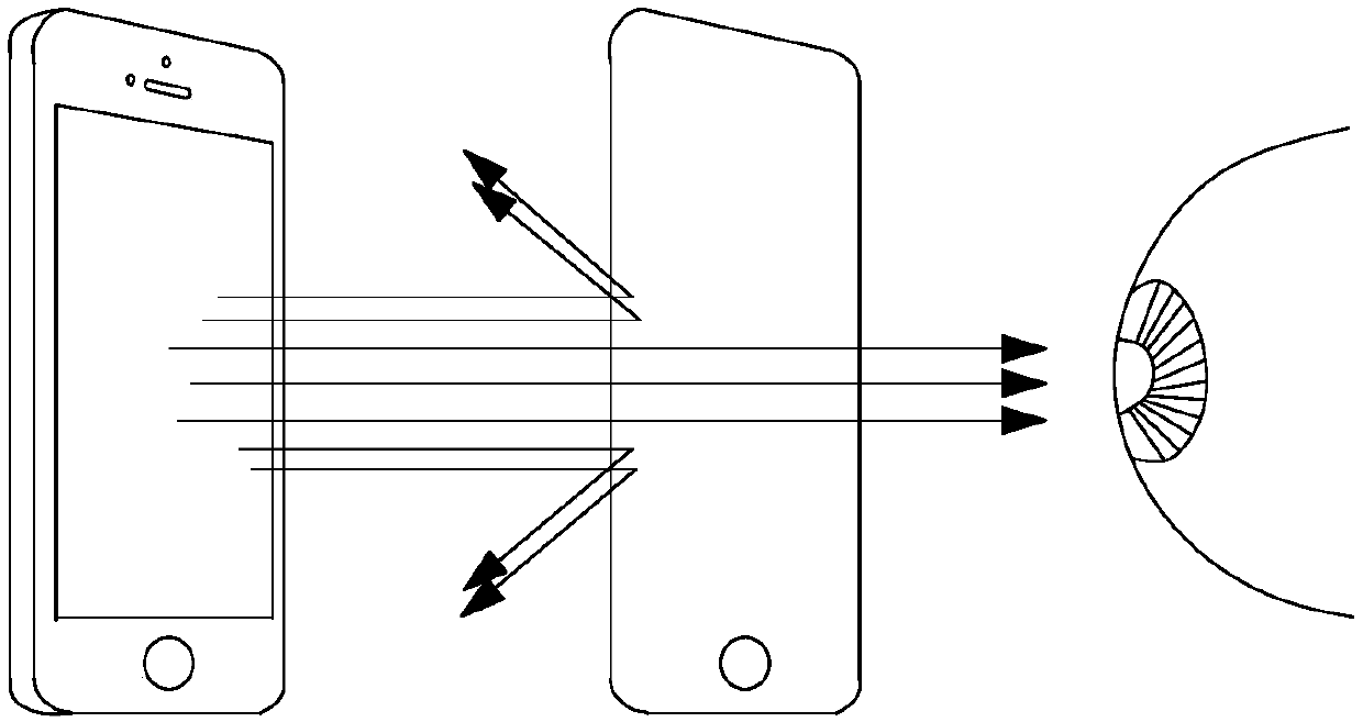 Display device and display driving method