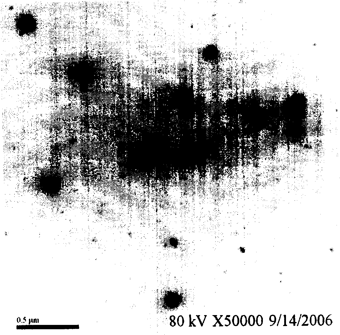 Nano-emulsion drug of triperygium wilfordii polycoride and preparation method thereof