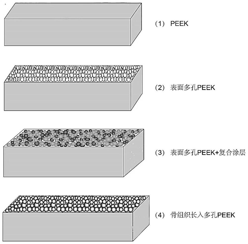 Porous polyether-ether-ketone-based coating material and preparation method thereof