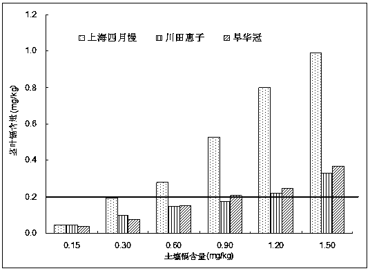 Method for screening cadmium rejection varieties of leaf-edible rapes