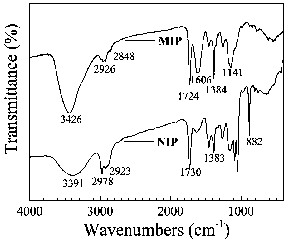 Preparation method for artificial antibody for caffeine detection