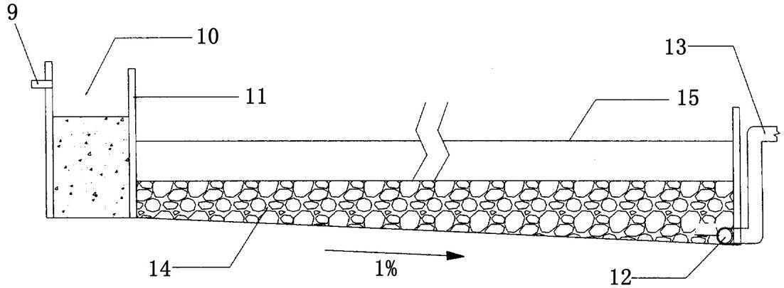 Method and system for advanced treatment of centralized rural domestic sewage