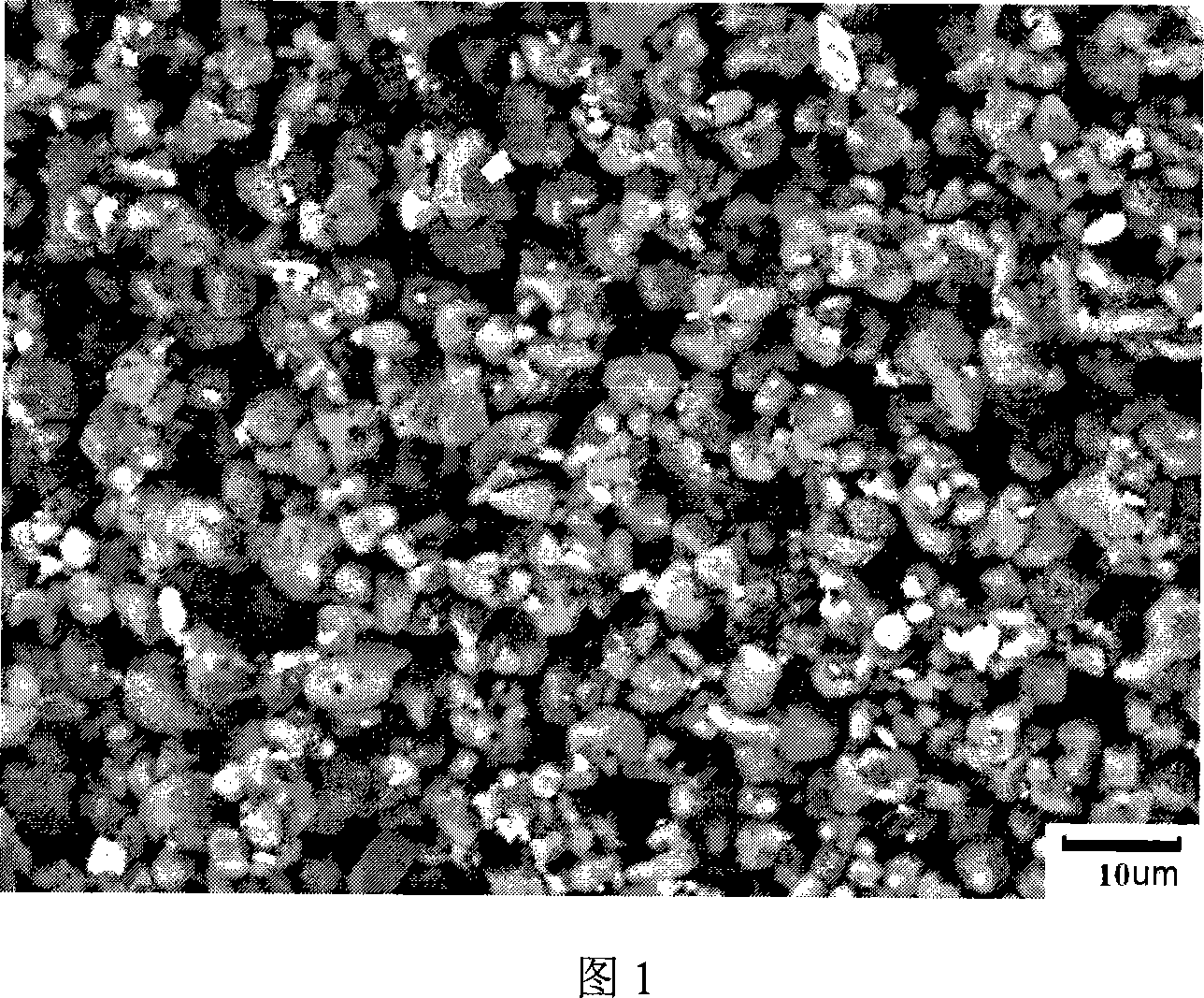Dentistry zirconia and leucite compound porcelain powder and preparing method thereof