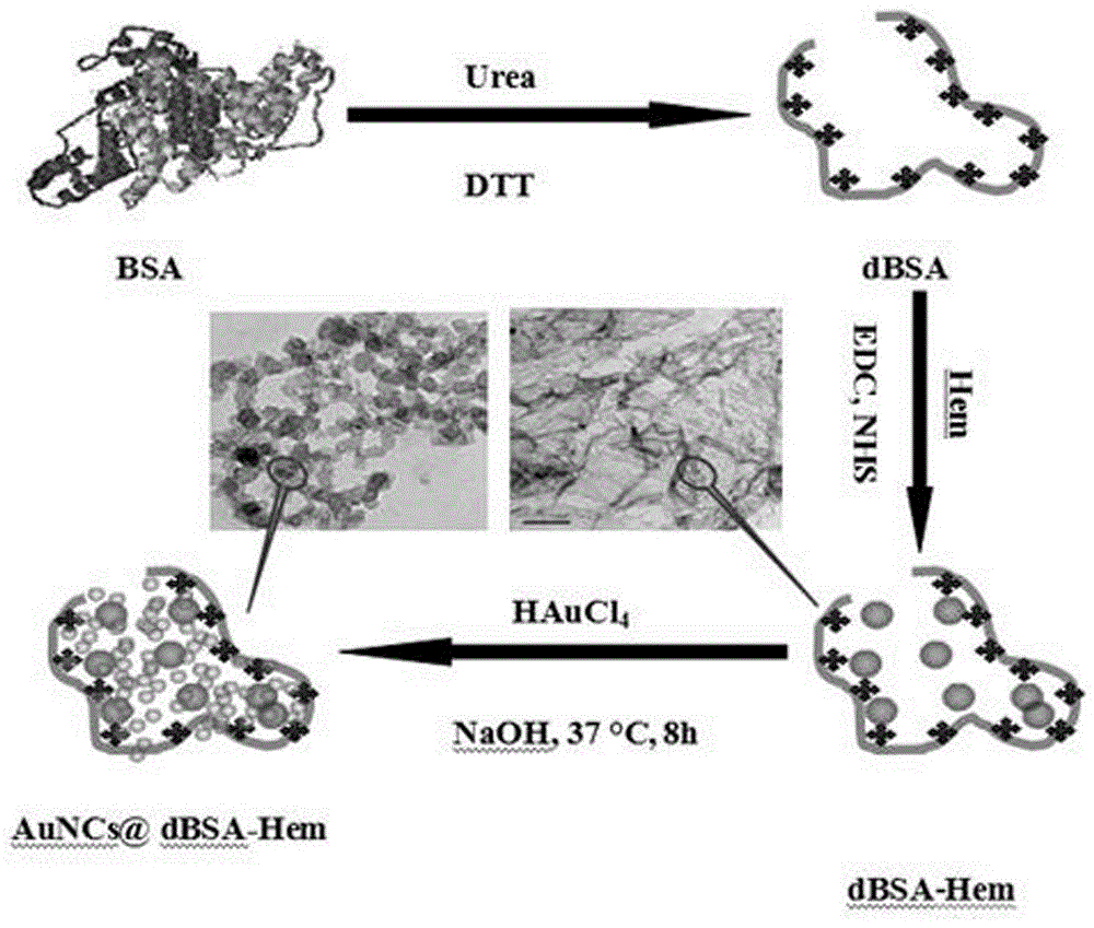 Application and preparation method of protein mimic enzyme based on heme and gold nanoclusters