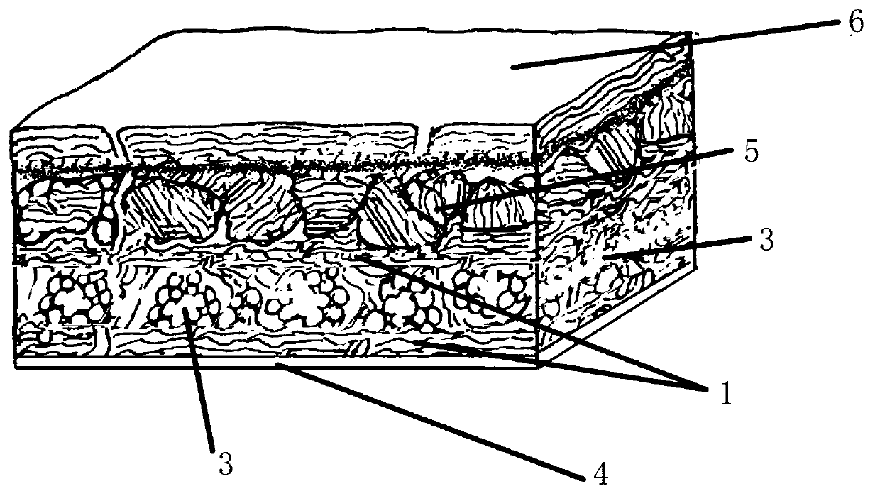 Decellularized eyelid board and preparation method thereof