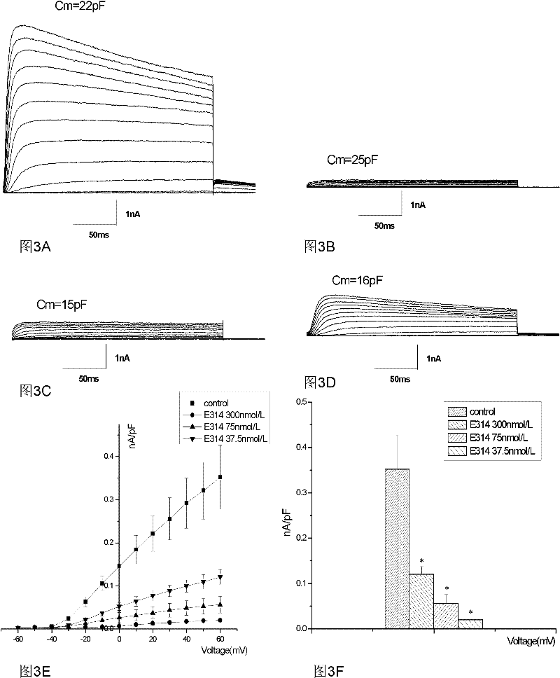 Human-derived voltage-gated potassium channel 1.3 immunogenic peptide fragment and application thereof