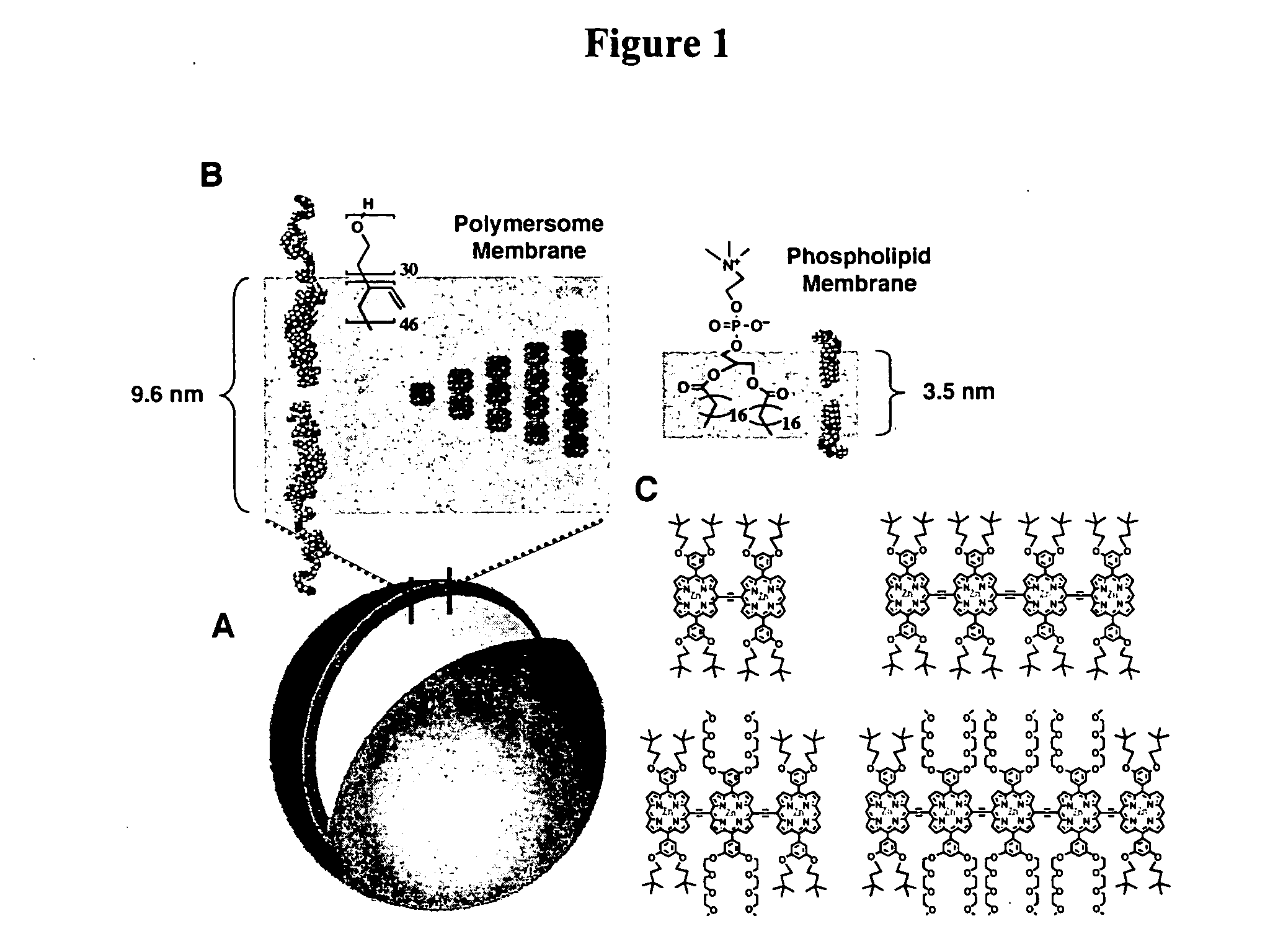 Polymersomes incorporating highly emissive probes