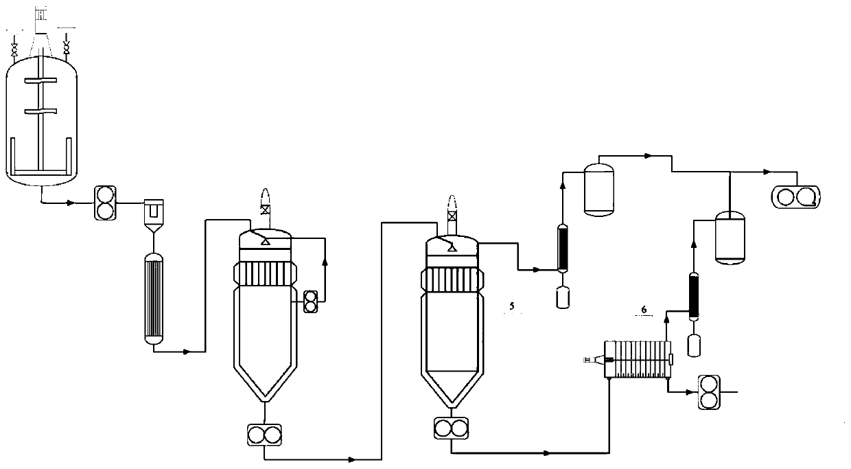 Melt direct processing caprolactam polymerization method