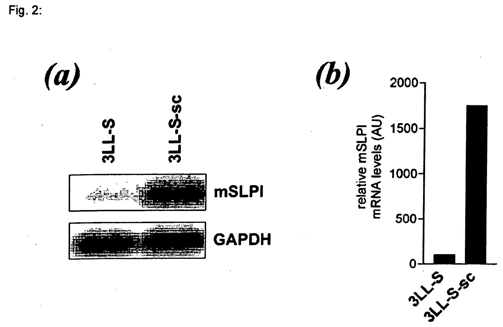 Use of a polypeptide domain to modulate the tumorigenic and metastatic potential of cancer cells