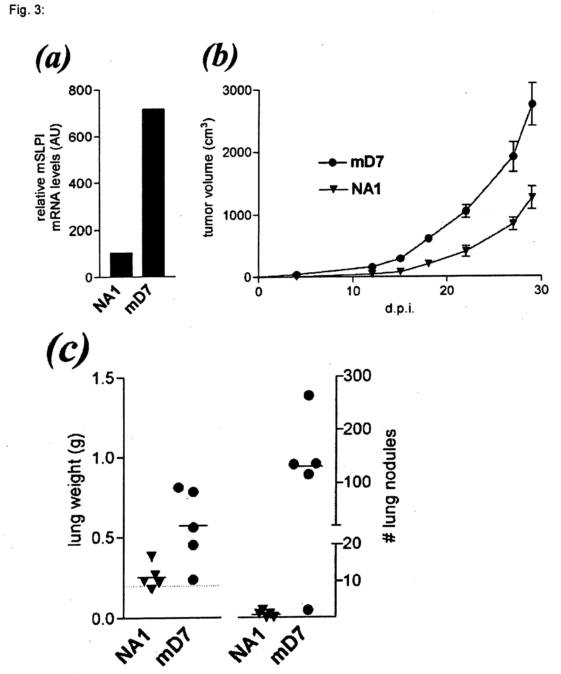 Use of a polypeptide domain to modulate the tumorigenic and metastatic potential of cancer cells