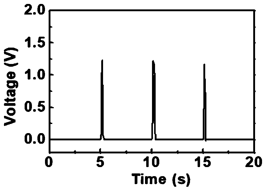 Flexible direct-current generator based on organic semiconductor film