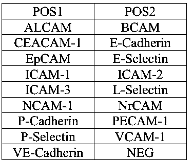 An antibody chip kit for detecting cell adhesion molecules