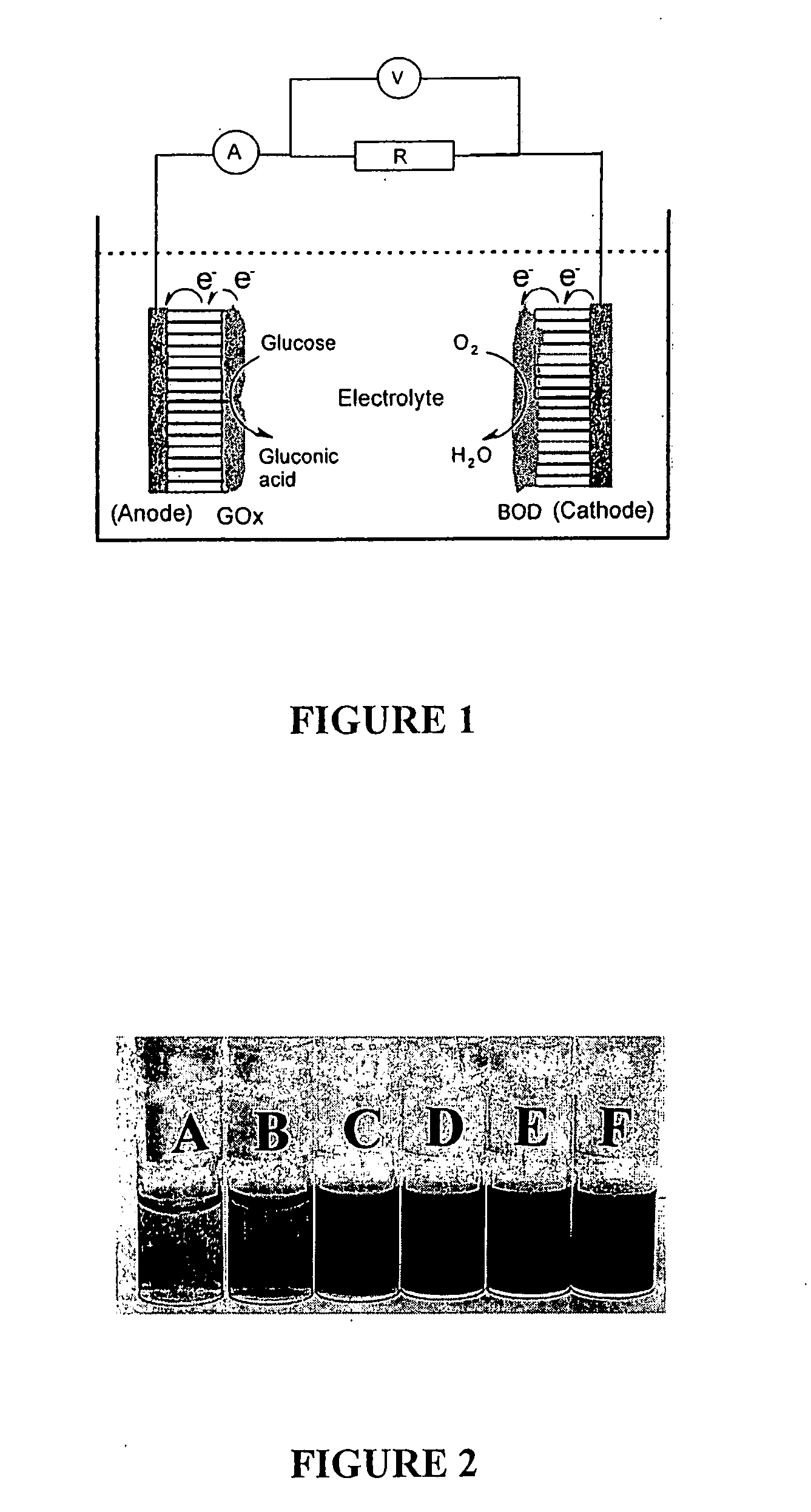 Integrated biofuel cell with aligned nanotube electrodes and method of use thereof