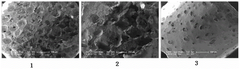 A kind of in-situ curing tissue engineering scaffold and preparation method thereof