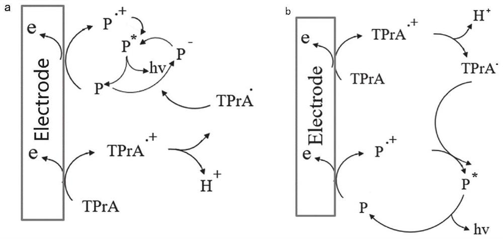 Solid-phase polycarbazole derivative electroluminescent system as well as construction method and application thereof