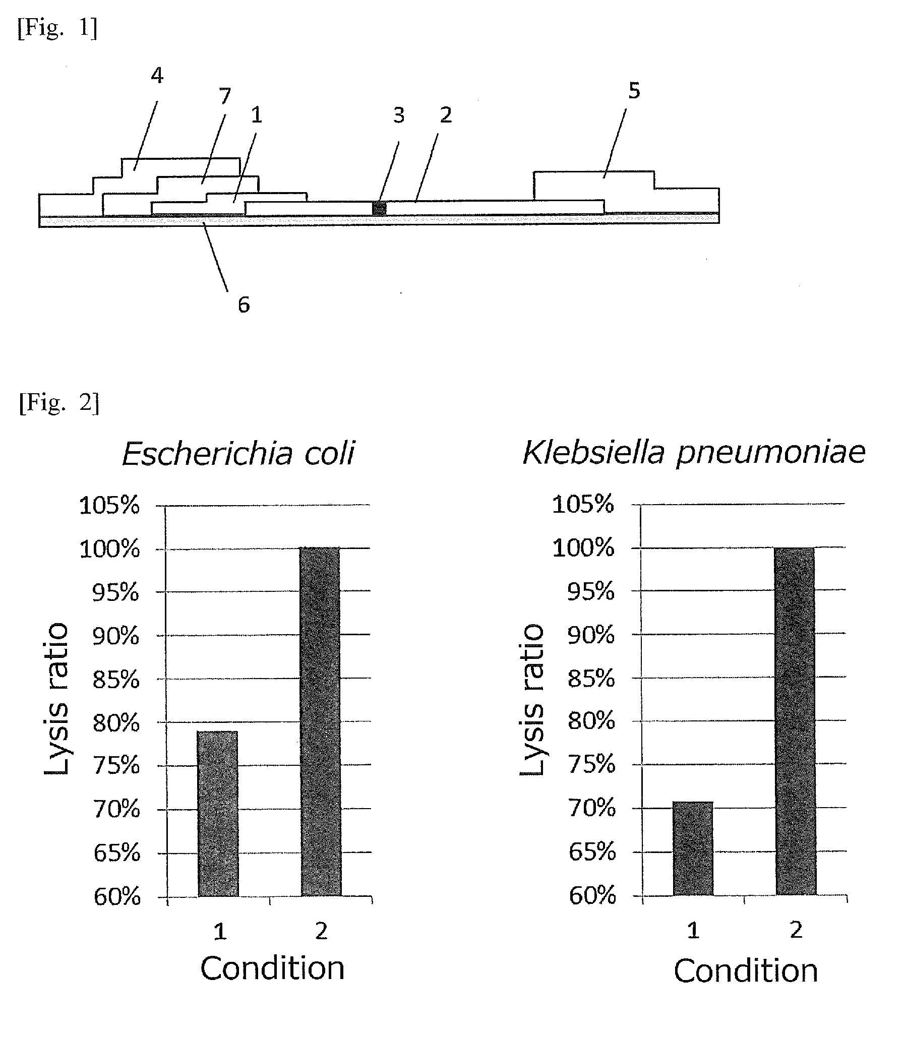 Method for detecting coliform bacteria contained in milk
