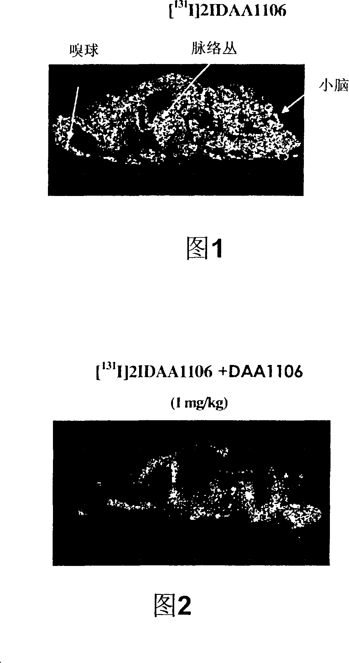 Radioactive halogen-labeled phenyloxyaniline derivatives