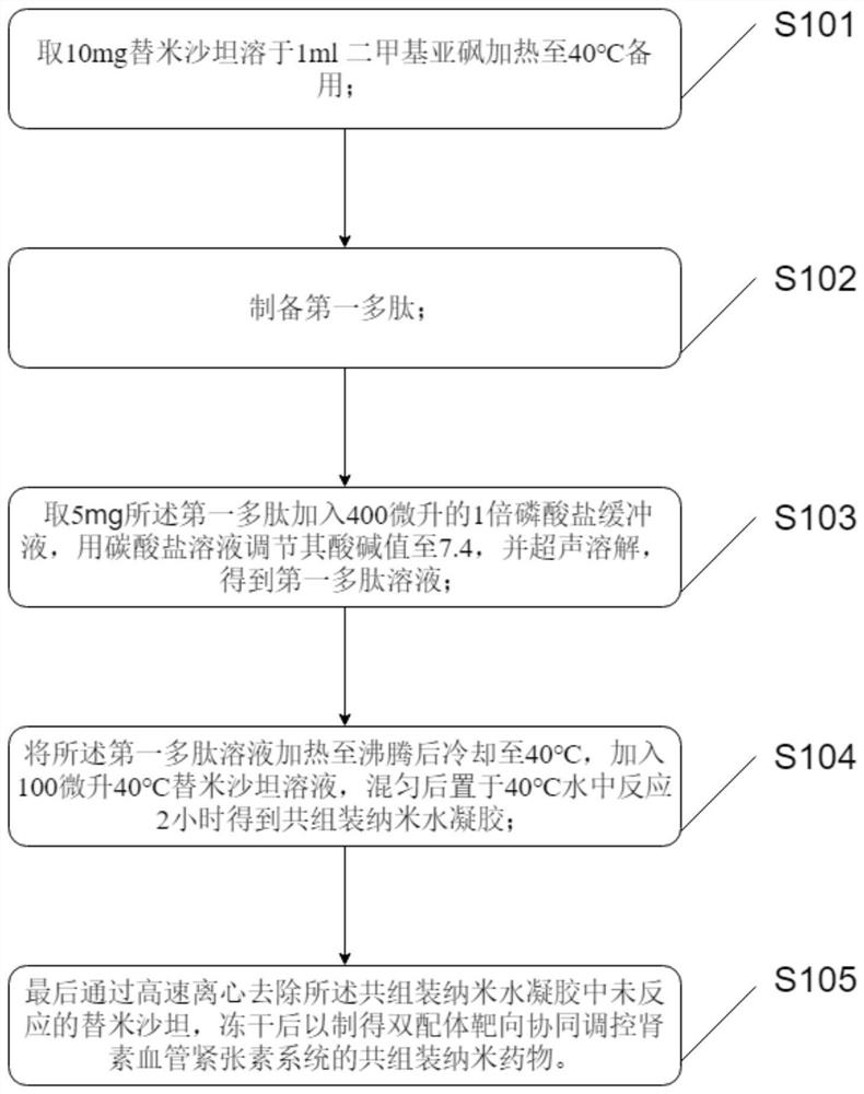 Preparation method and application of co-assembled nano-drug of double-ligand targeted synergistic control renin angiotensin system