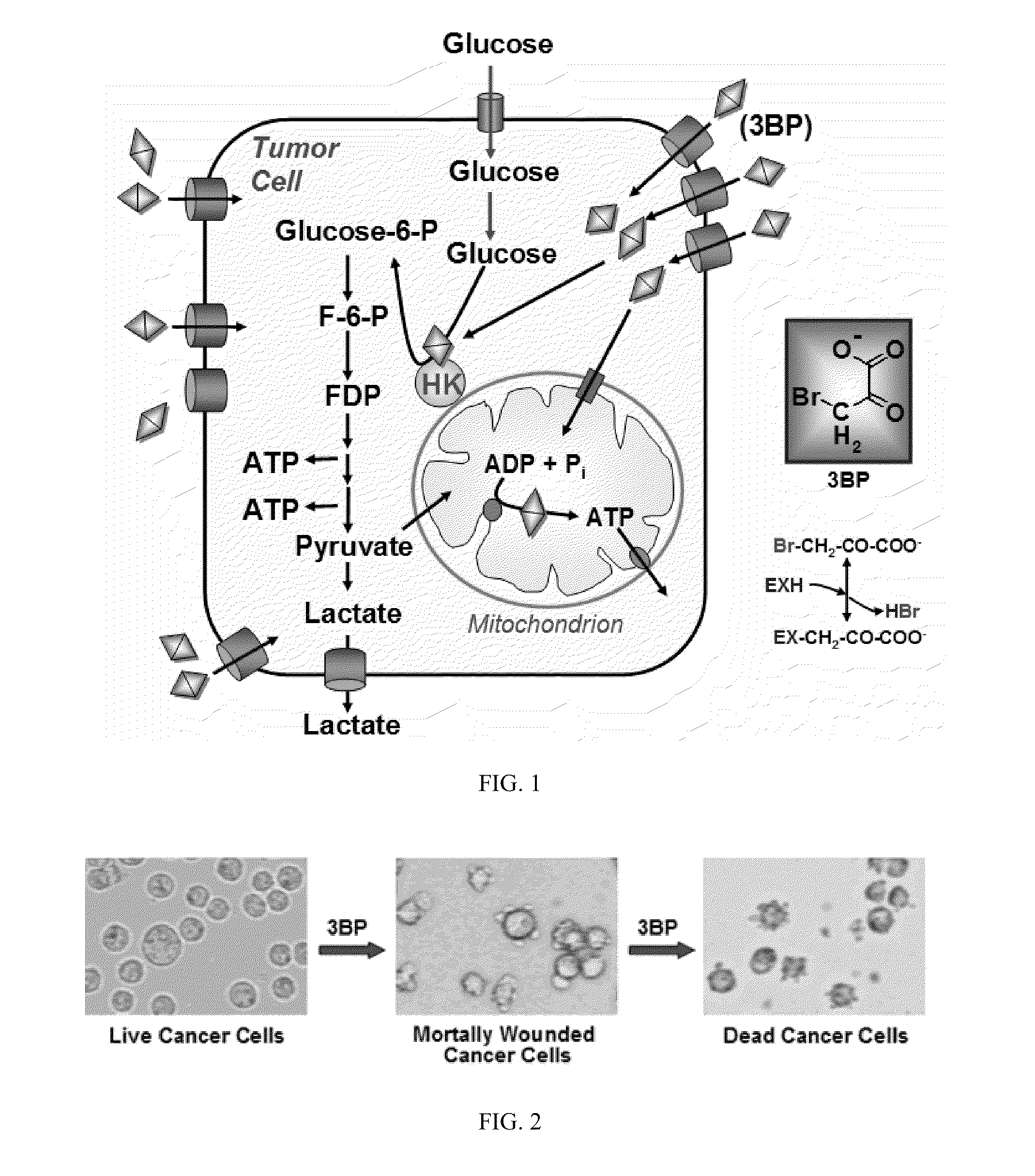 Composition and methods for the treatment of cancer