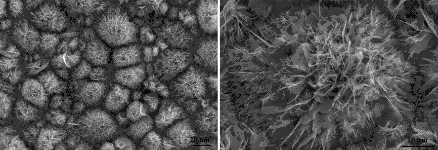 Preparation method and applications of biological inorganic hybrid membrane based on immobilized laccase adopting copper foil carrier