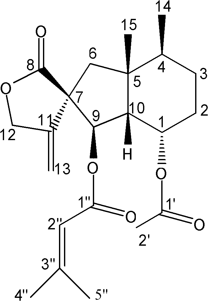 Petasites tatewakianus Kitam. extract as well as preparation method and application thereof