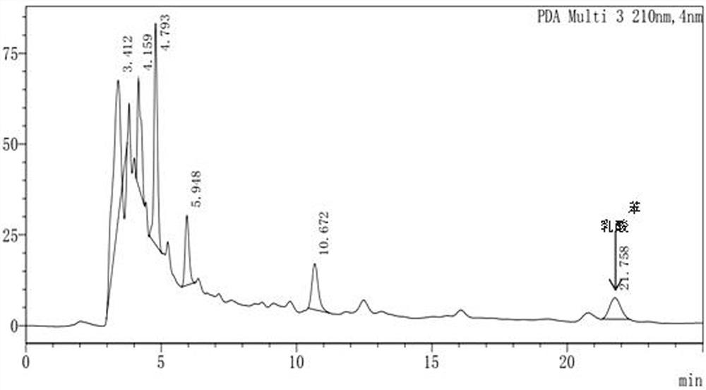 Lactobacillus buchneri and application thereof in preparation of low-moisture fermented feed