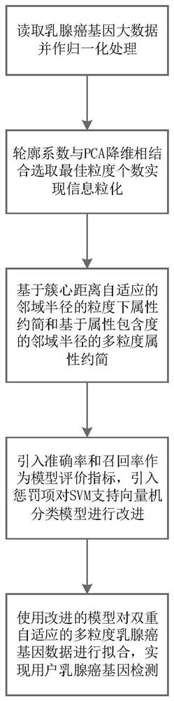 Multi-granularity breast cancer gene classification method based on dual adaptive neighborhood radius