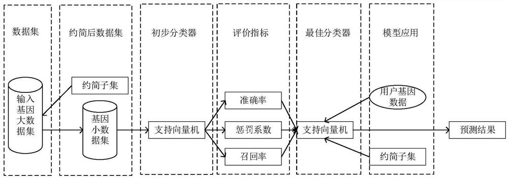 Multi-granularity breast cancer gene classification method based on dual adaptive neighborhood radius