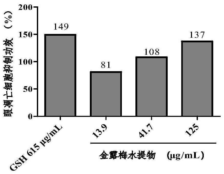 Application of potentilla fruticosa extract in inhibition of eye cell apoptosis