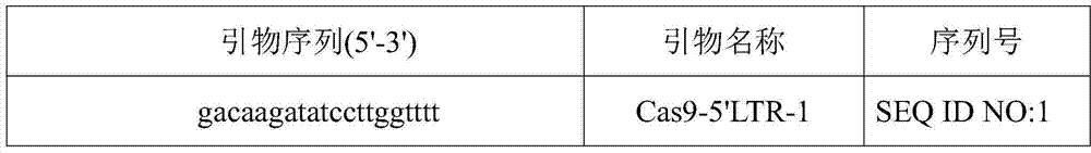 CRISPR-Cas9 system for preventing and/or treating HIV, as well as preparation method and application thereof