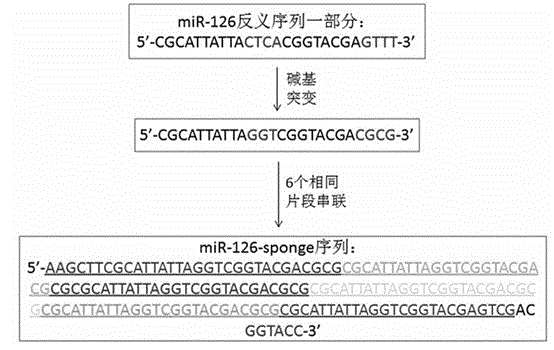 Method for downregulating micro RNA-126 expression