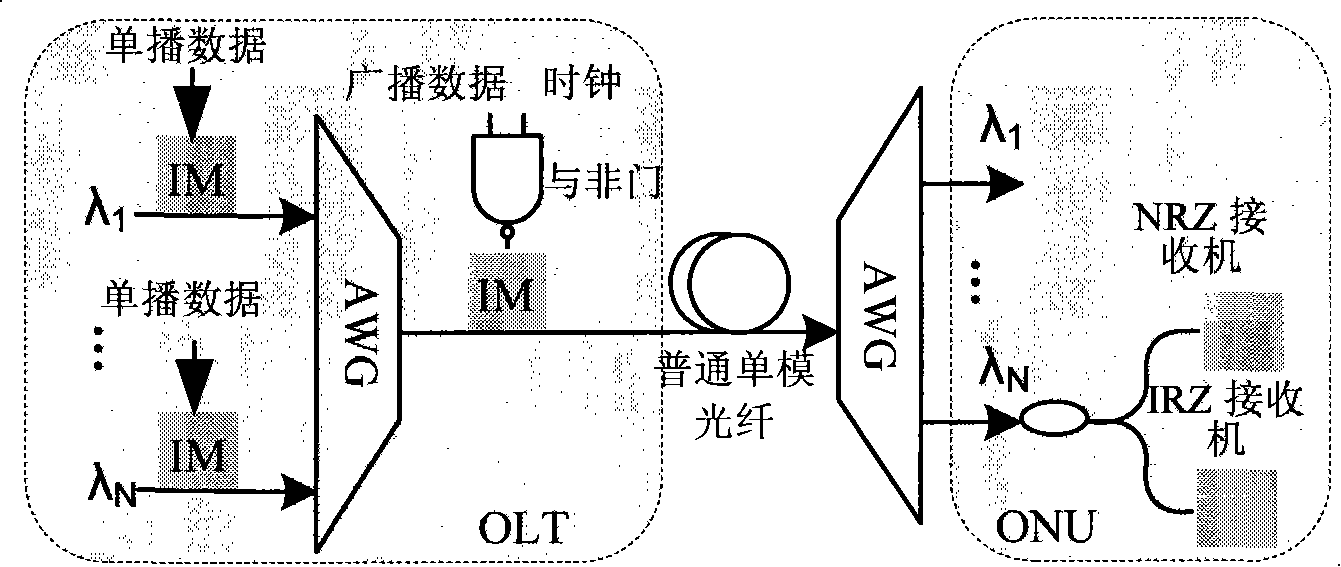 Broadcast multicast data transfer method based on breadth re-modulation in passive optical network