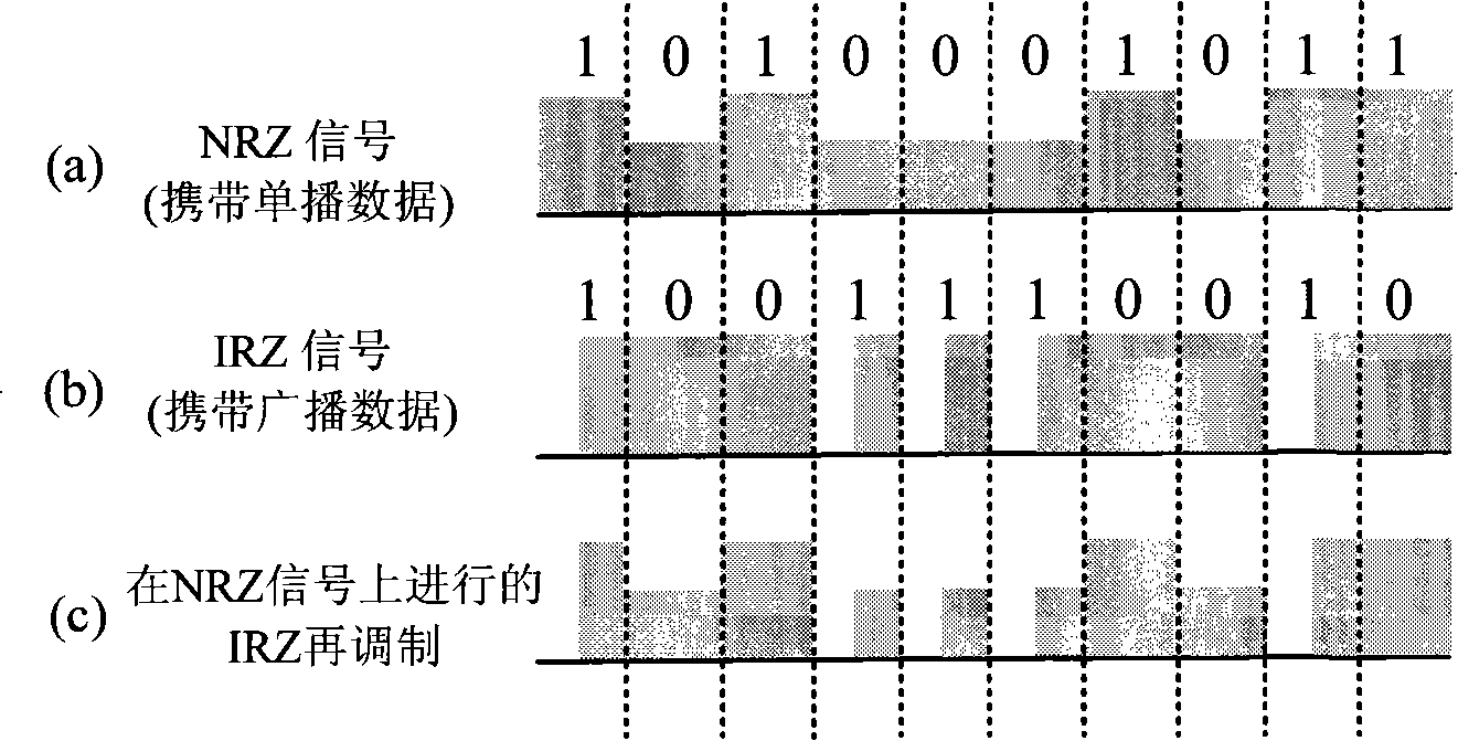 Broadcast multicast data transfer method based on breadth re-modulation in passive optical network