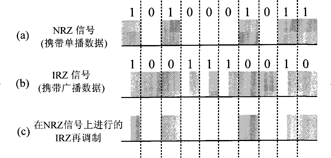 Broadcast multicast data transfer method based on breadth re-modulation in passive optical network