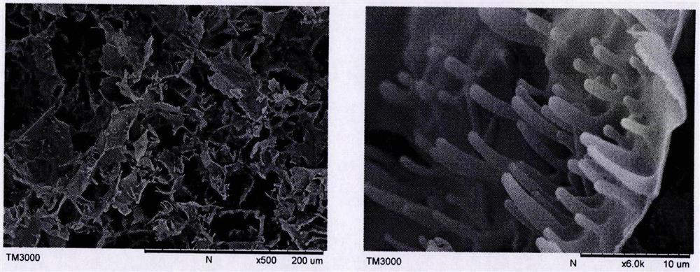 A superporous cationic polymer capable of removing bacteria in the air and its preparation method