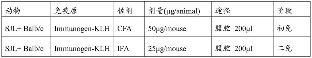 cBIN1 antibody and application thereof