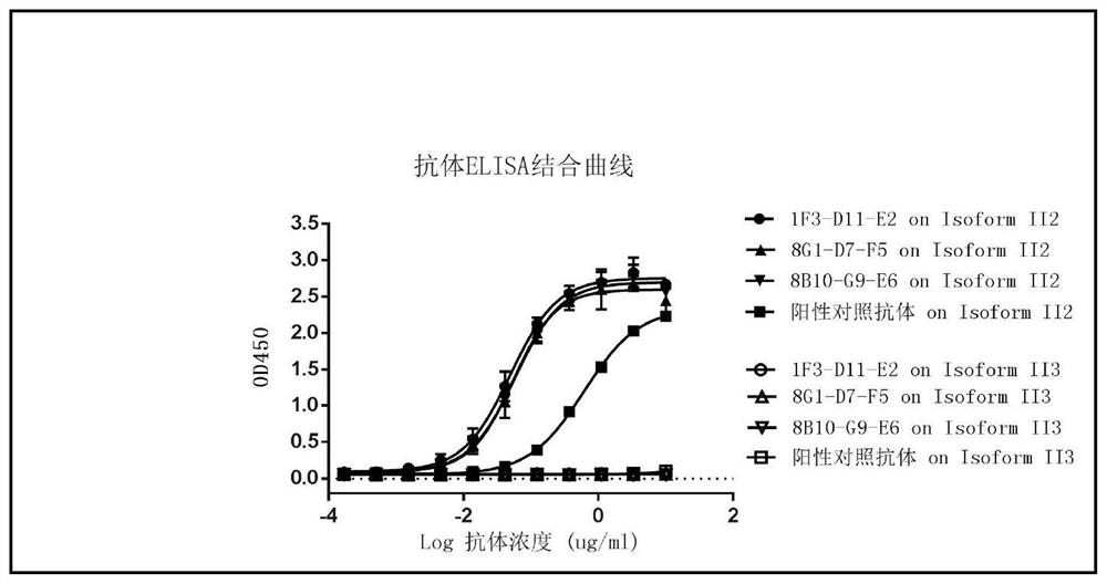 cBIN1 antibody and application thereof