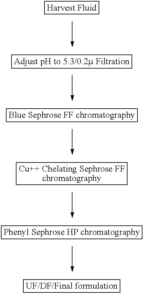 Recombinant alpha-L-iduronidase, methods for producing and purifying the same and methods for treating diseases caused by deficiencies thereof