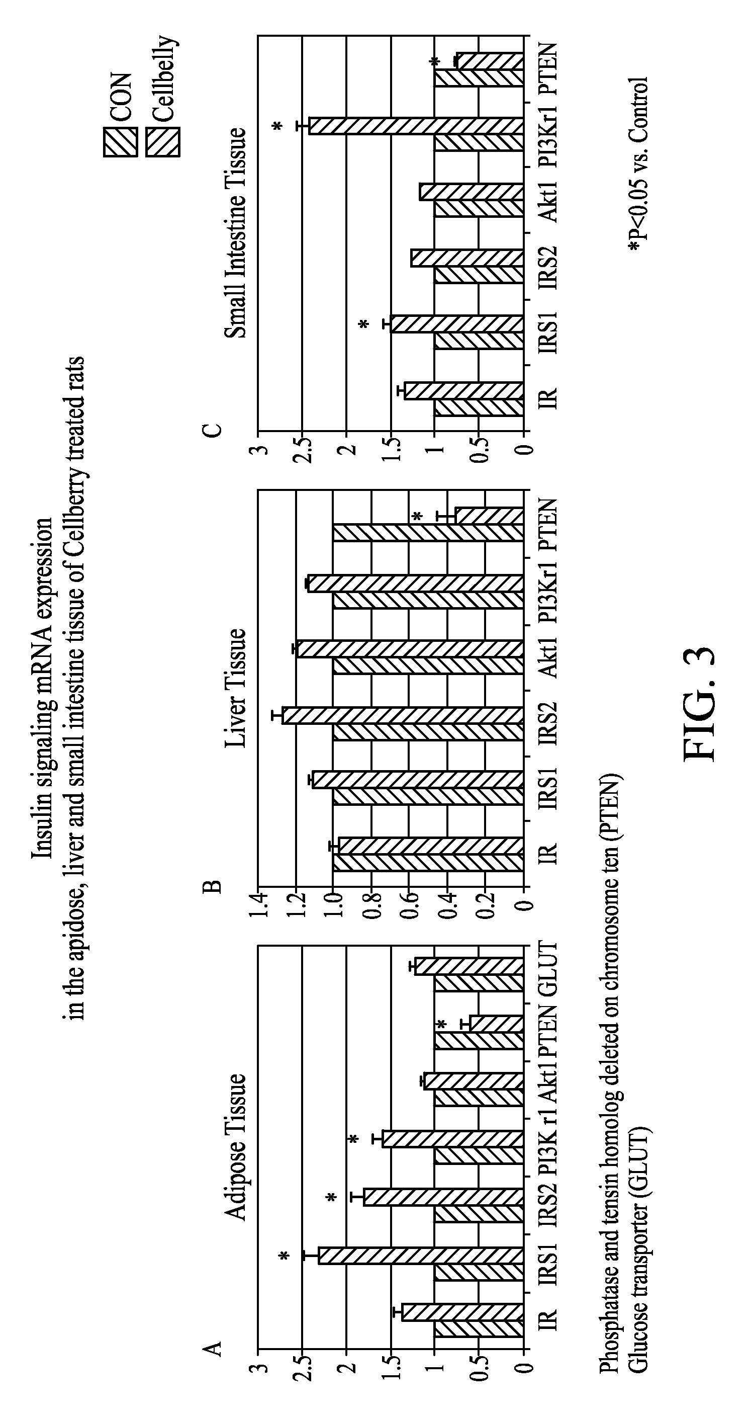 Dietary supplements containing extracts of aronia and methods of using same to promote weight loss