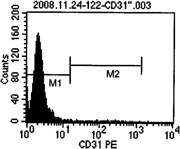 Method for obtaining mesenchyma stromal cells from connective tissue