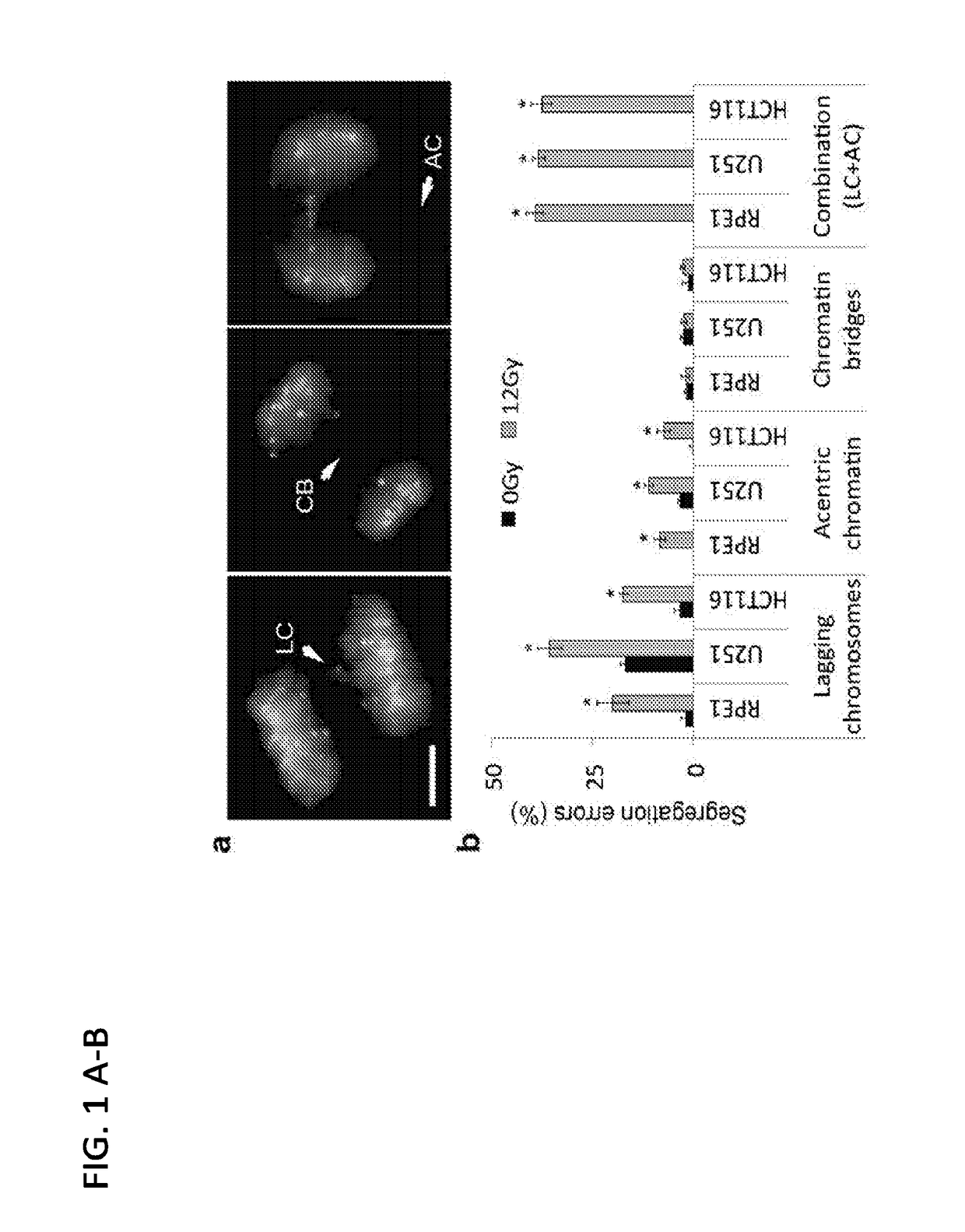 Methods and compositions for increasing susceptibility to radiation treatment by inhibiting suppression of numerical chromosomal instability of cancer cells