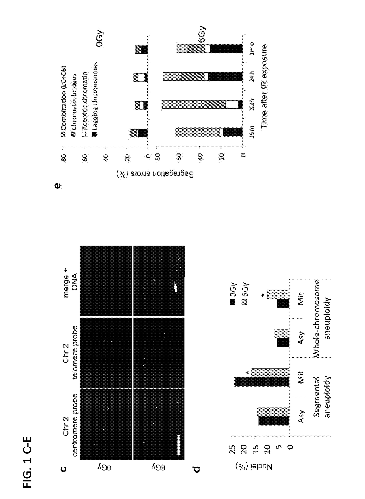 Methods and compositions for increasing susceptibility to radiation treatment by inhibiting suppression of numerical chromosomal instability of cancer cells