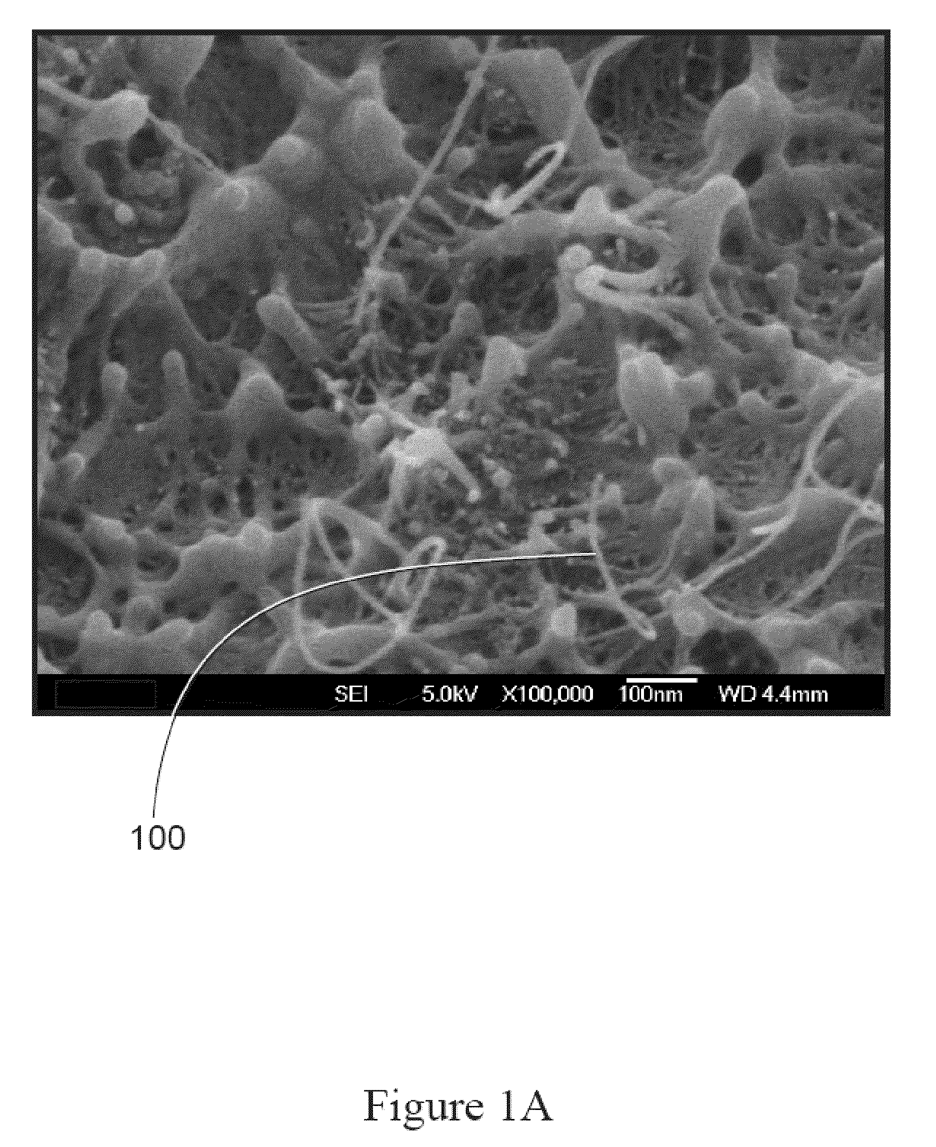 Nanotube Polymer Composite Composition and Methods of Making